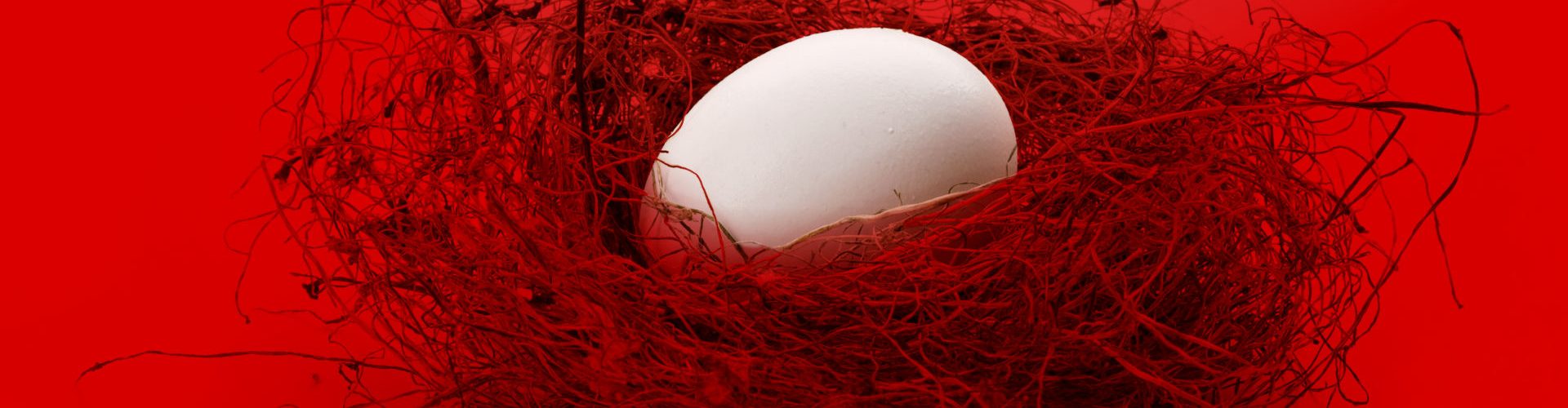 Oeuf blanc sur un nid avec fond rouge